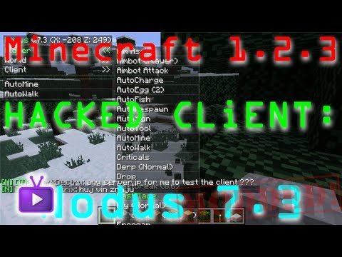 minecraft vcahaxclient 1.2.5