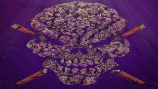 WiZARDHAX.com - Minecraft Hacks, Minecraft Mods, Tutorials 